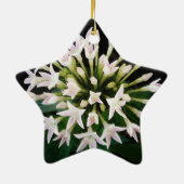 White Pentas Keramikornament (Hinten)