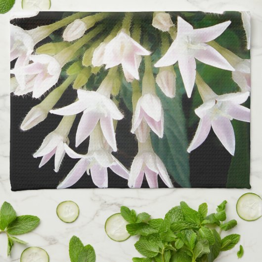 White Pentas Küchentuch (Gefaltet)