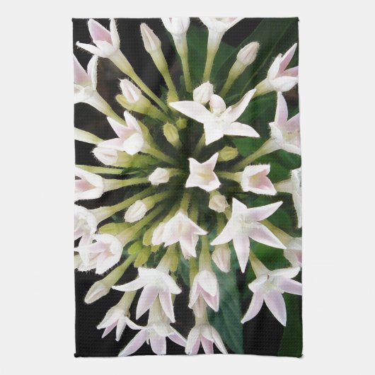 White Pentas Küchentuch (Vertikal)