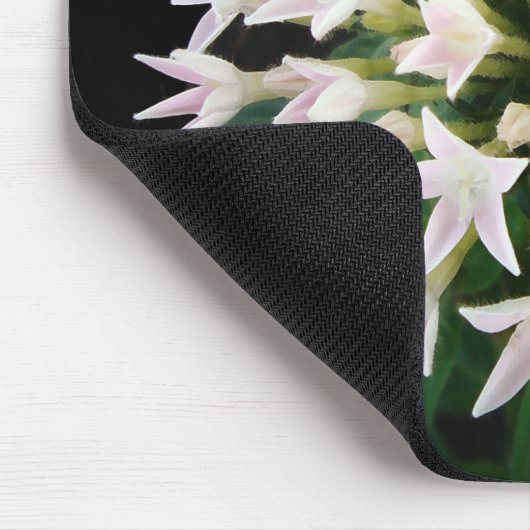 White Pentas Mousepad (Ecke)