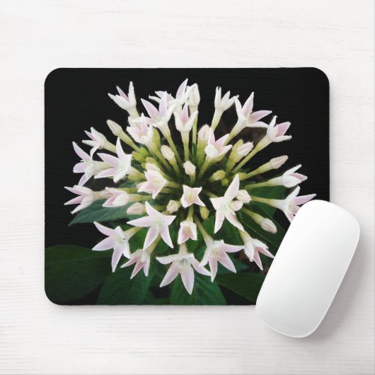 White Pentas Mousepad (Mit Mouse)