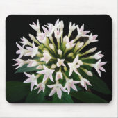 White Pentas Mousepad (Vorne)