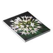 White Pentas Notizblock (angewinkelt)