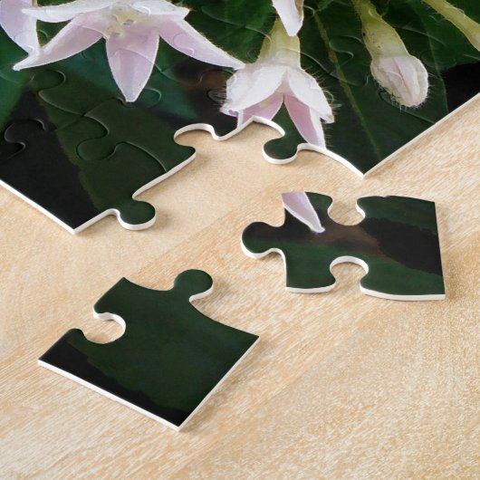 White Pentas Puzzle (Seite)