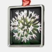 White Pentas Silbernes Ornament (Links)