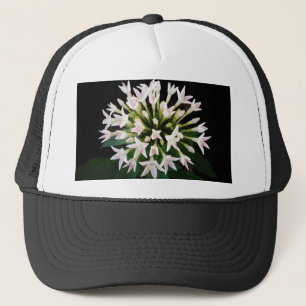 White Pentas Truckerkappe
