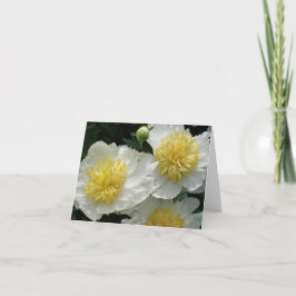 White Peonies
