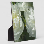 White Peonies Fotoplatte (Seite)