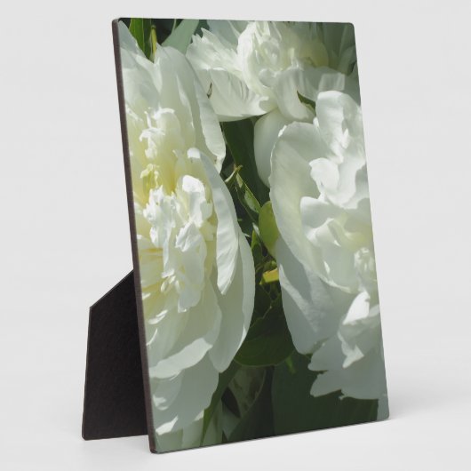 White Peonies Fotoplatte (Seite)