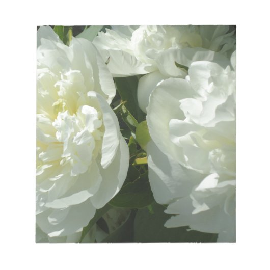White Peonies Notizblock (Vorderseite)