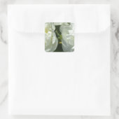 White Peonies Quadratischer Aufkleber (Tasche)