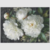 White Peony Blossom Decoupage Seidenpapier (Vorderseite)