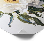 White Peony Blume Art Print Poster (Ecke)