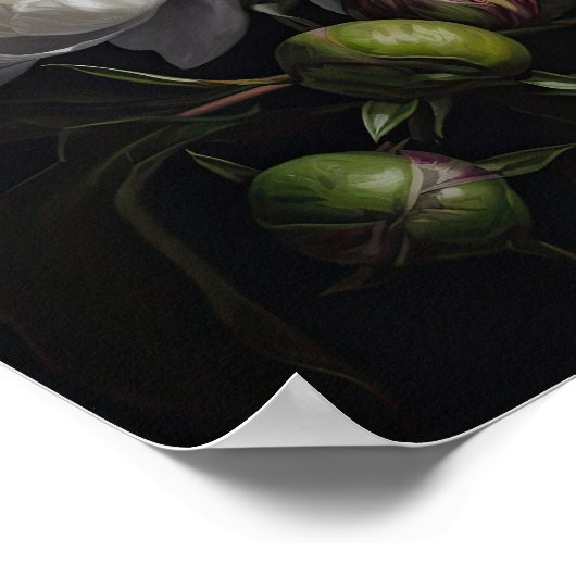 White Peony Blume Art Print Poster (Ecke)