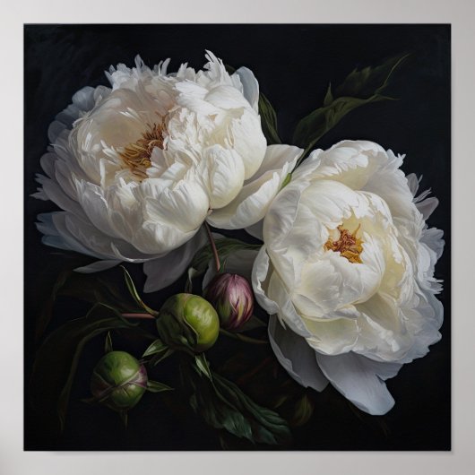 White Peony Blume Art Print Poster (Vorne)