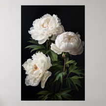 White Peony Blume Art Print Poster