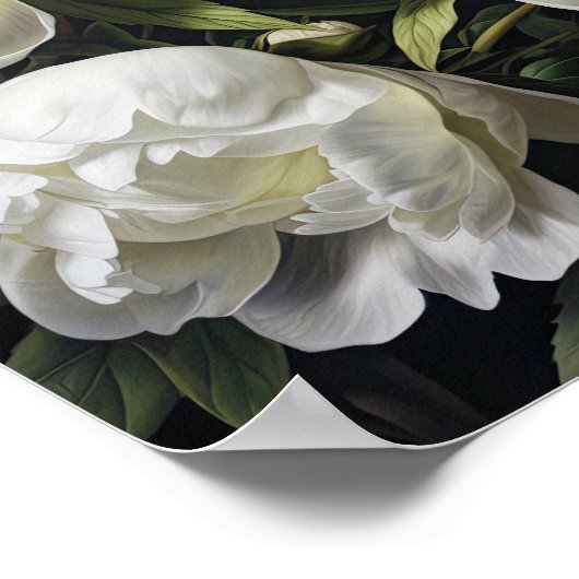 White Peony Blume Art Print Poster (Ecke)