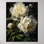 White Peony Blume Art Print Poster (Vorne)