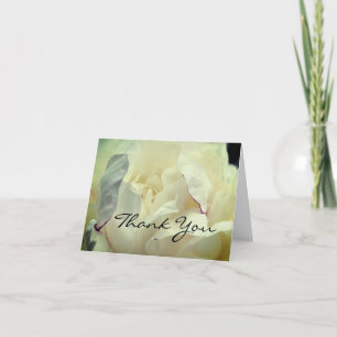 White Peony Blume Danke Card