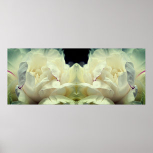 White Peony Blume in Bloom Mirror Abstrakt Poster