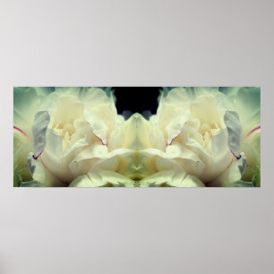 White Peony Blume in Bloom Mirror Abstrakt Poster