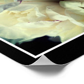 White Peony Blume in Bloom Nah up Abstrakt Poster (Ecke)
