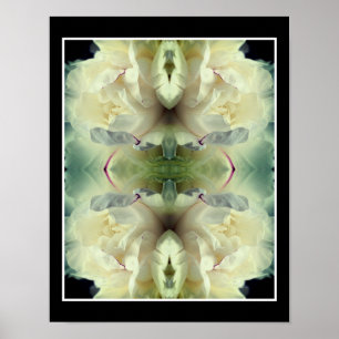 White Peony Blume in Bloom Nah up Abstrakt Poster