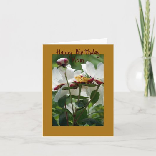 White Peony Dankeskarte (Vorderseite)