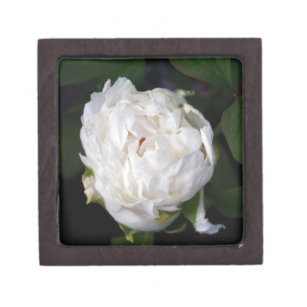 White Peony Floral Fotografy Kleine Geschenkboxen Kiste