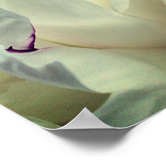 White Peony Inner Peace Inspiration Poster (Ecke)