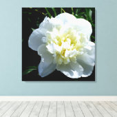 White Peony Leinwanddruck (Insitu (Holzboden))