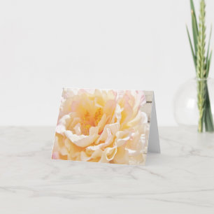 White Peony Mitteilungskarten