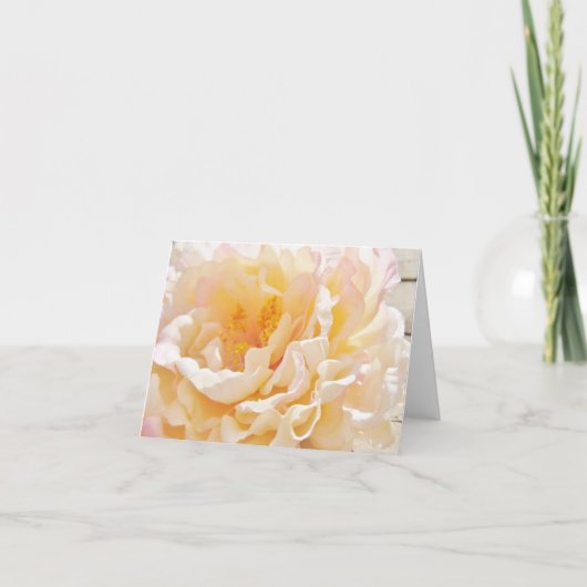 White Peony Mitteilungskarten (Vorderseite)