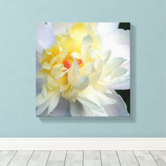 White Peony on Leinwand (Insitu (Holzboden))