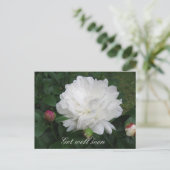 White Peony Postcard Postkarte (Stehend Vorderseite)