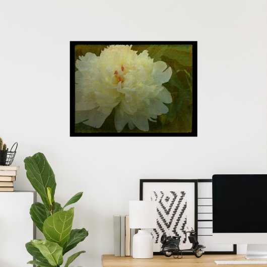 White Peony Poster (Heimbüro)