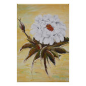 White Peony Poster (Vorderseite)