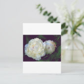 White Peony Postkarte (Stehend Vorderseite)