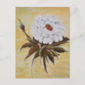 White Peony Postkarte (Vorderseite)