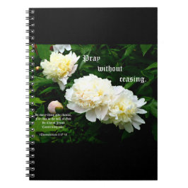 White Peony Trio, 1 Thessaloniker 5:17-18 Notizblock