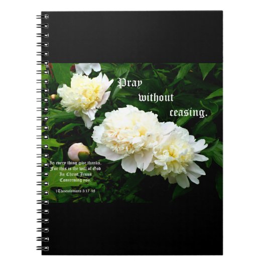 White Peony Trio, 1 Thessaloniker 5:17-18 Notizblock (Vorderseite)
