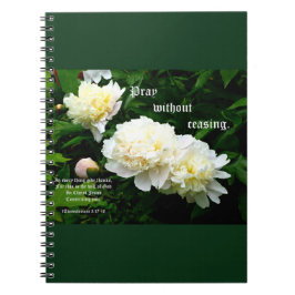 White Peony Trio, 1 Thessaloniker 5:17-18 Notizblock
