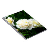 White Peony Trio Notizblock (Rechte Seite)