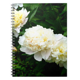 White Peony Trio Notizblock
