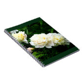 White Peony Trio Notizblock (Rechte Seite)