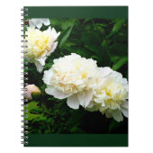 White Peony Trio Notizblock (Vorderseite)