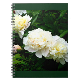 White Peony Trio Notizblock