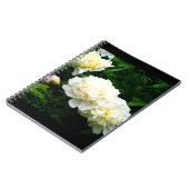 White Peony Trio Notizblock (Linke Seite)