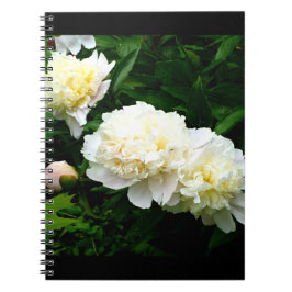 White Peony Trio Notizblock