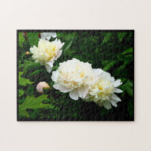 White Peony Trio Puzzle